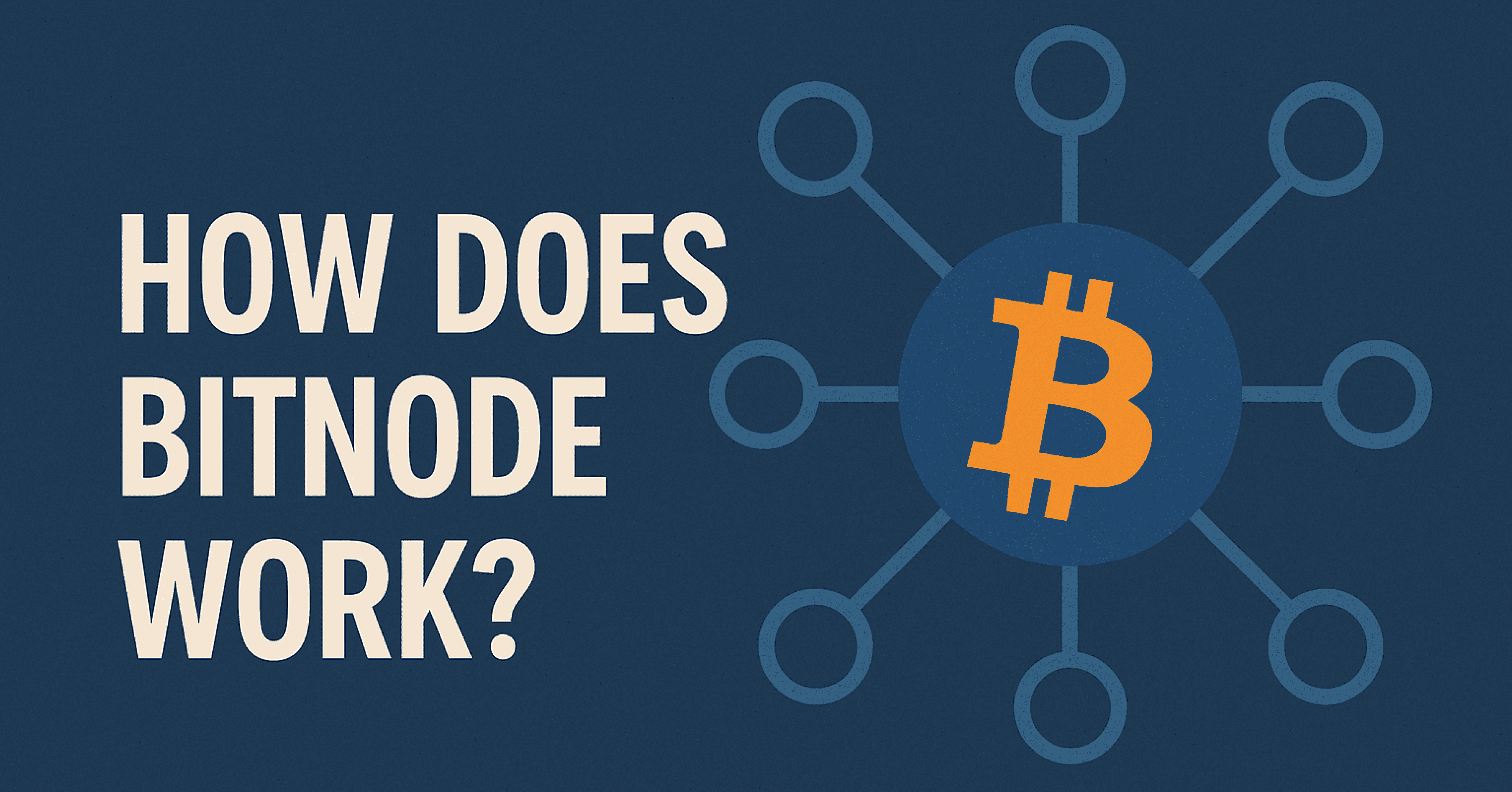 How does Bitnode work?
